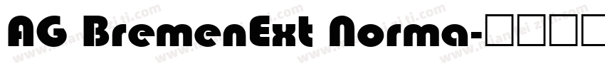 AG BremenExt Norma字体转换